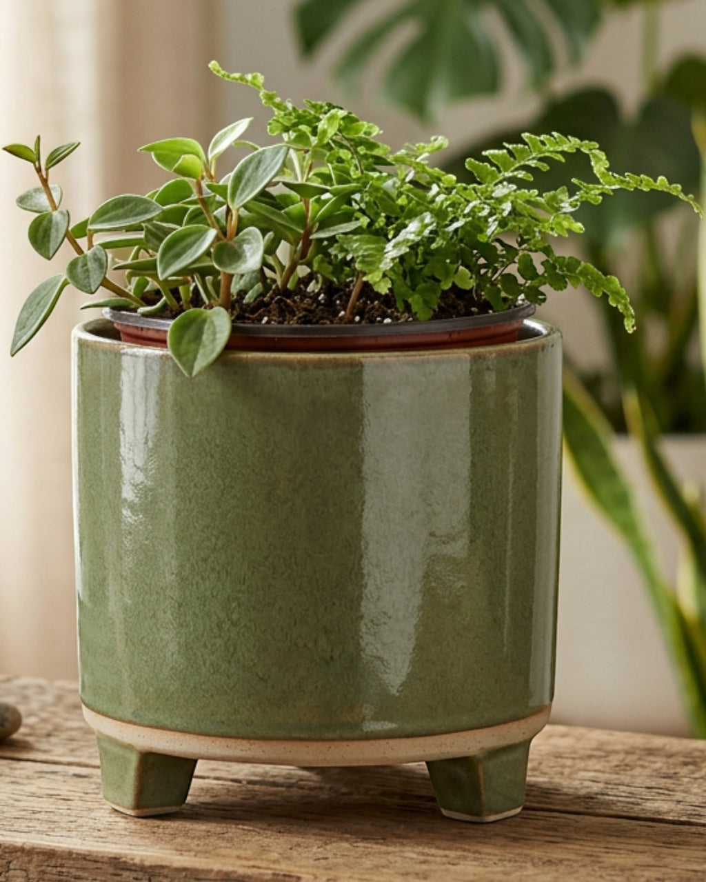 Ymxvd Footed Ceramic Cachepot Moss 6.5 in