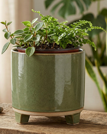 Ymxvd Footed Ceramic Cachepot Moss 6.5 in